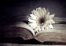 Giải nợ trần – Chùm thơ Truong Vu Giang